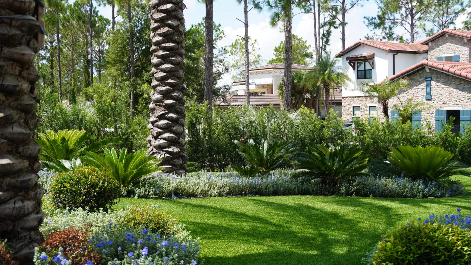 Tropical Landscape & Turf Lawn